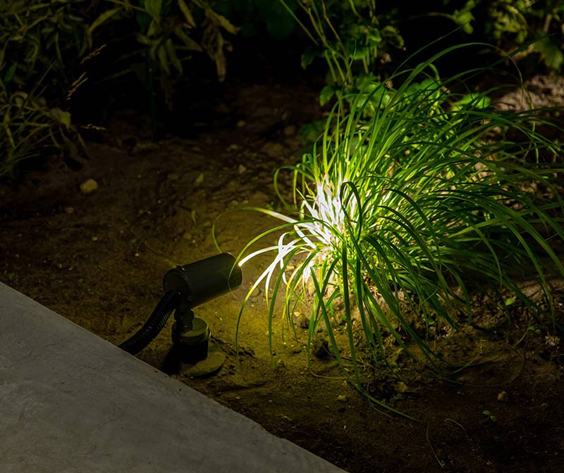 Landscape Lighting
